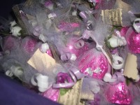 /album/galeria-de-fotos/imagem-197-jpg/